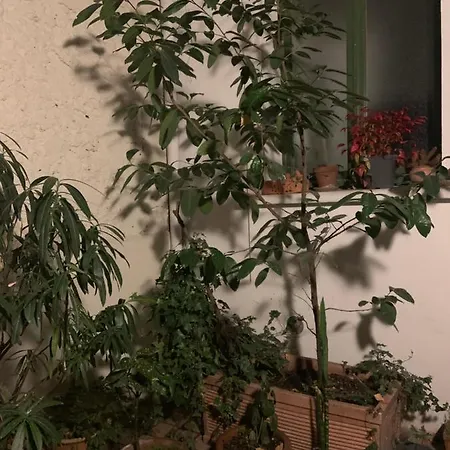 Séjour chez l'habitant Maison Boinod